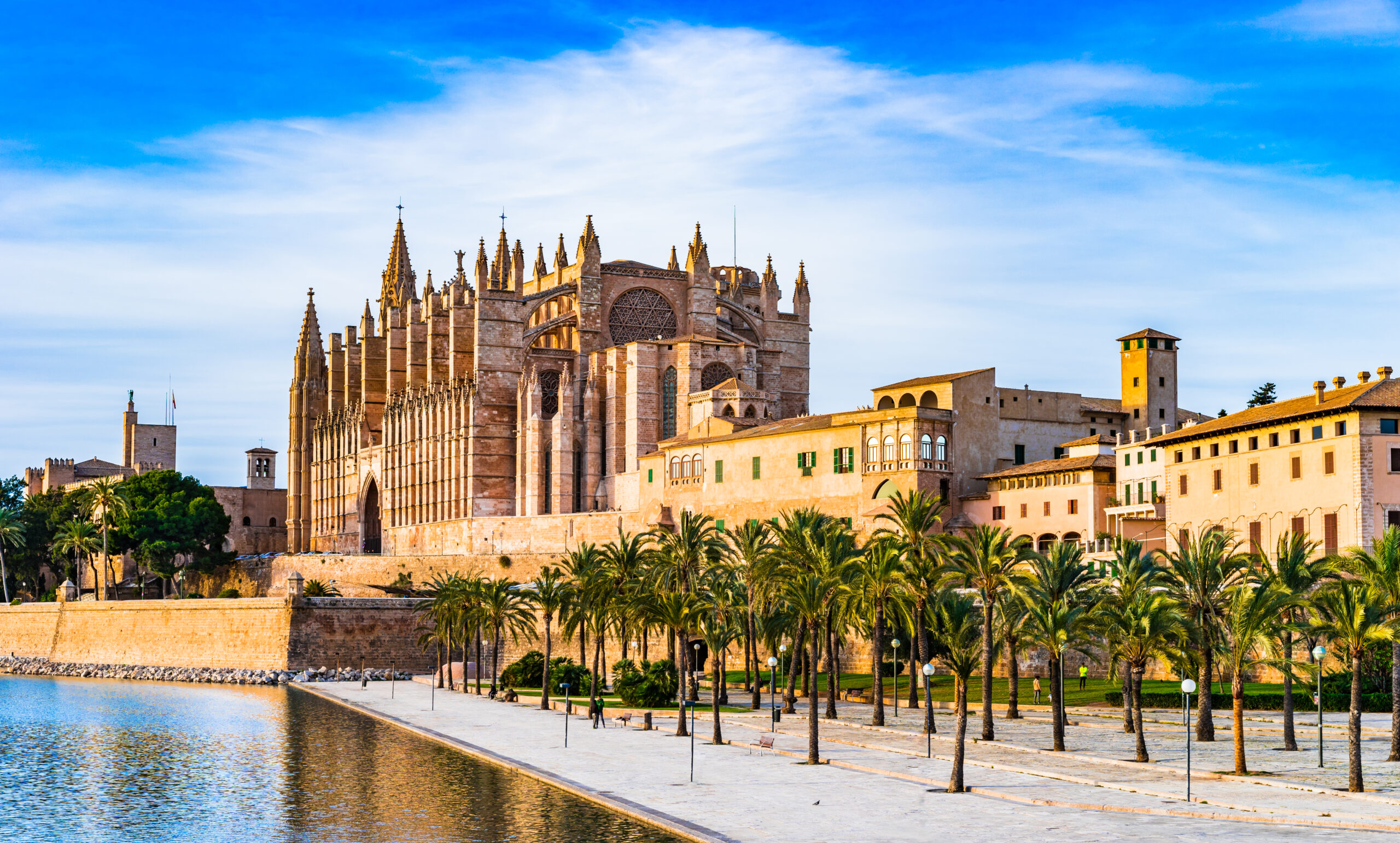 La Seu Mallorca